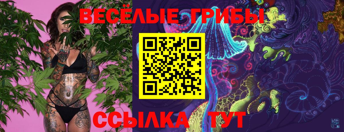 Псилоцибиновые грибы мицелий  Вход с VPN  Псилоцибиновые грибы Cubensis  Волжск 